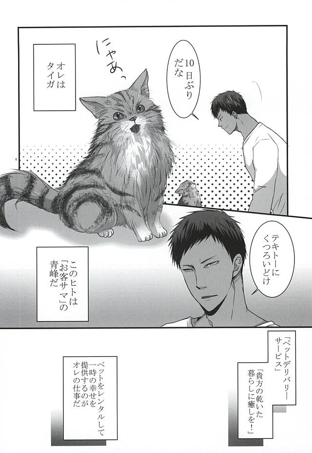 THE PET DELIVERY SERVICE 2 page 3 full