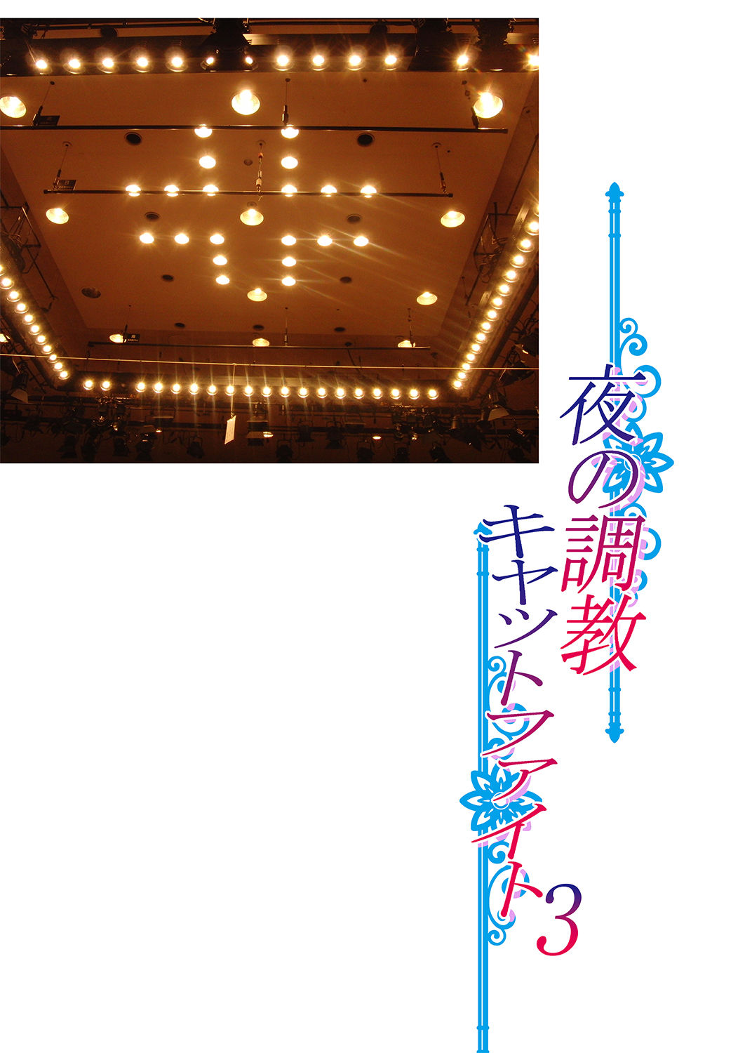 Yoru no Choukyou Cat Fight 3 page 2 full