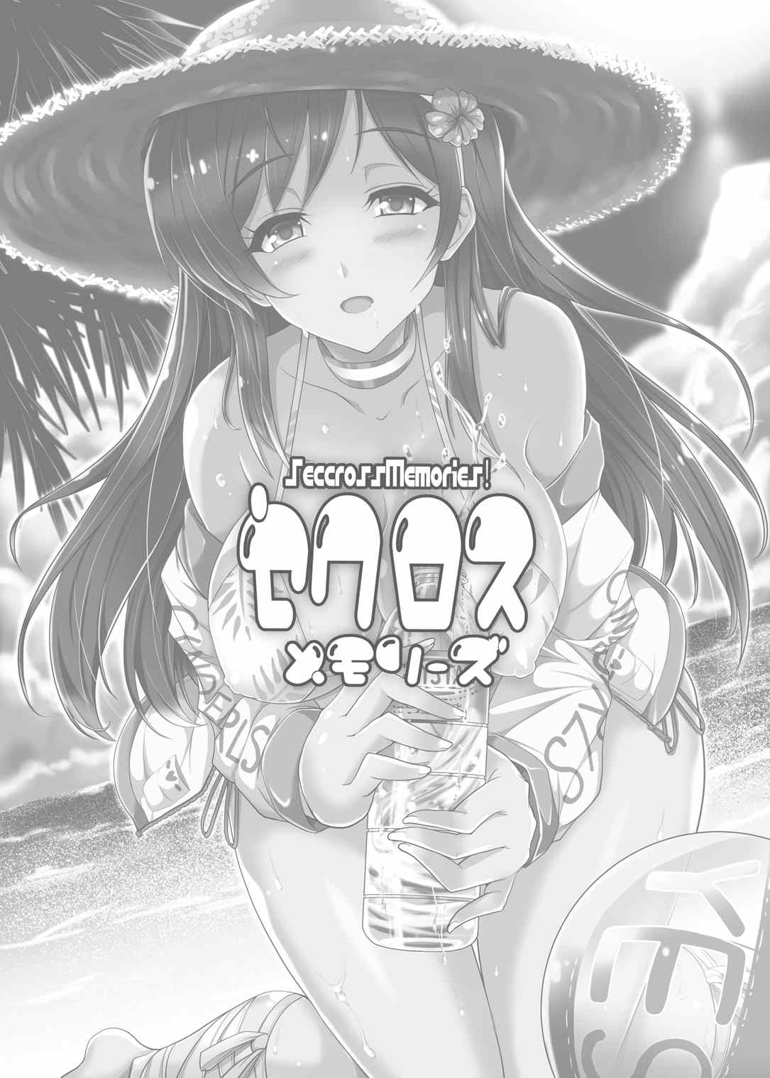 Seccross Memories page 3 full