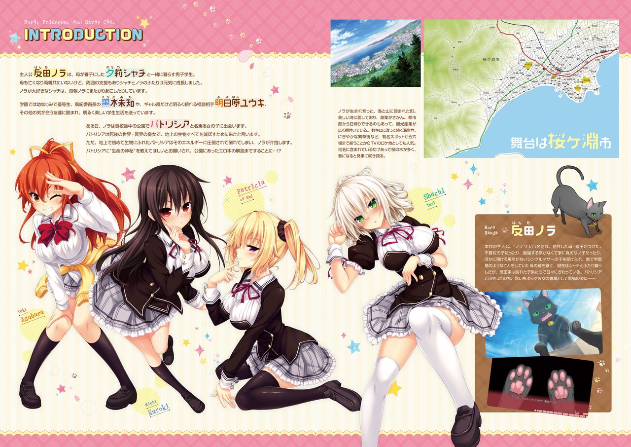 Nora to Oujo to Noraneko Heart -Nora, Princess, and Stray Cat.- Visual Fan Book page 3 full