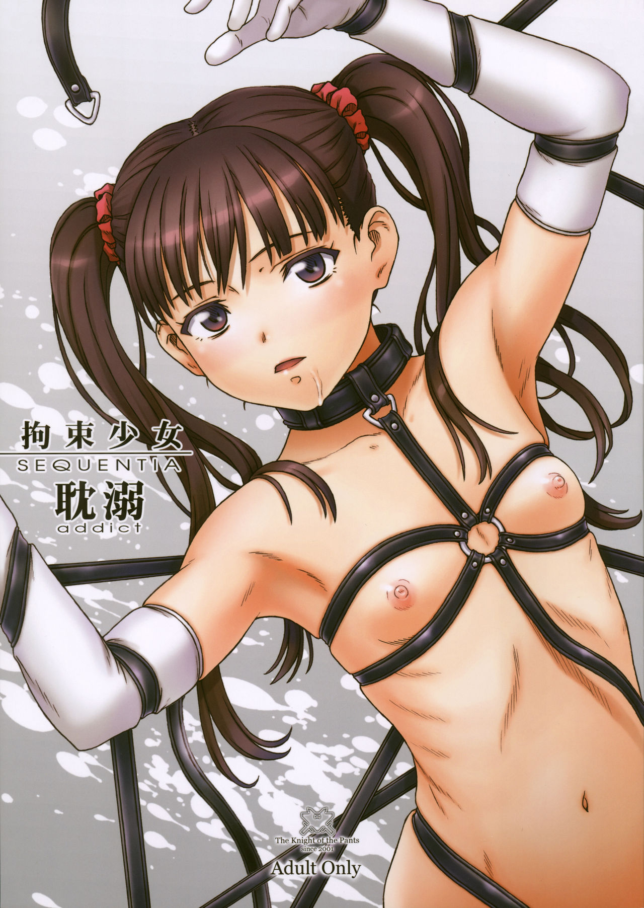 Kousoku Shoujo SEQUENTIA Tandeki page 1 full