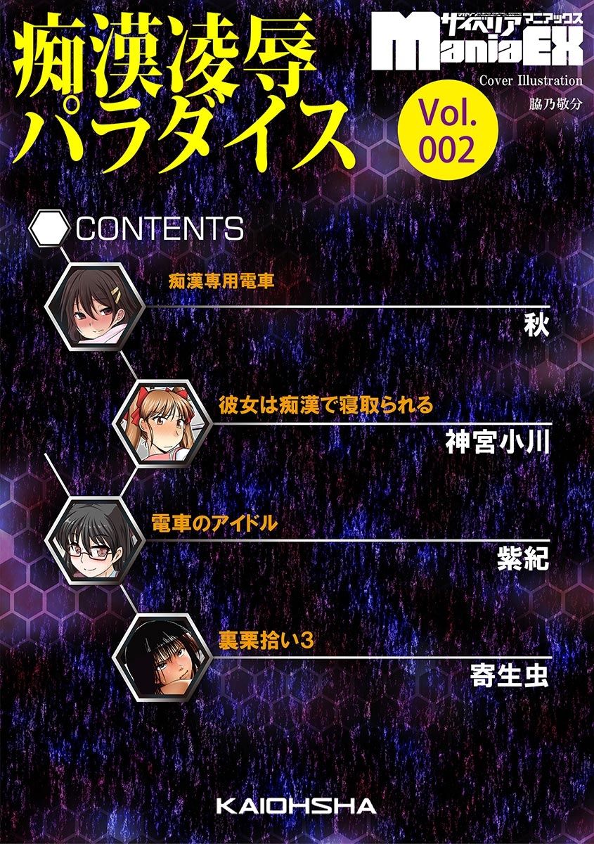 Cyberia Maniacs Chikan Ryoujoku Paradise Vol.2 page 4 full