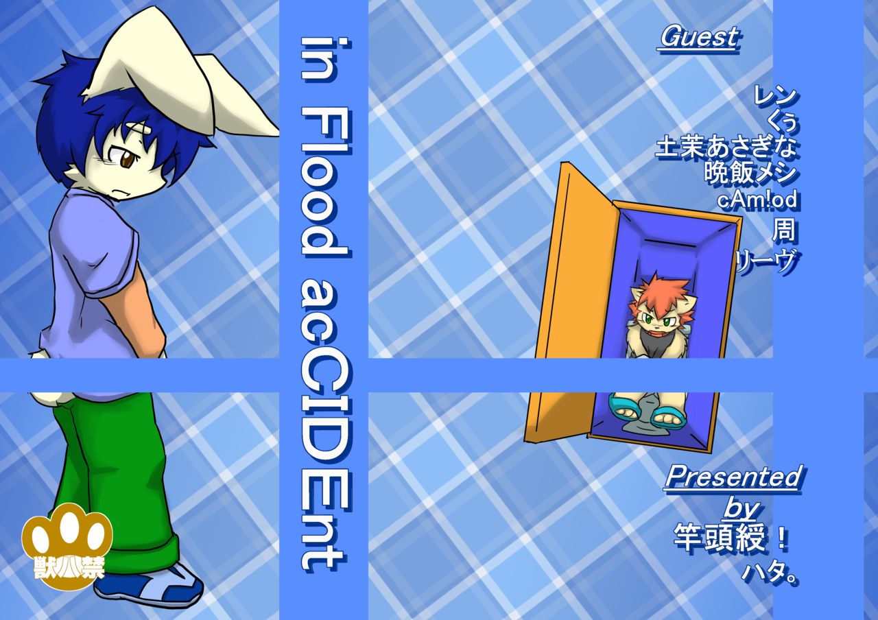 in Flood acCIDEnt page 1 full