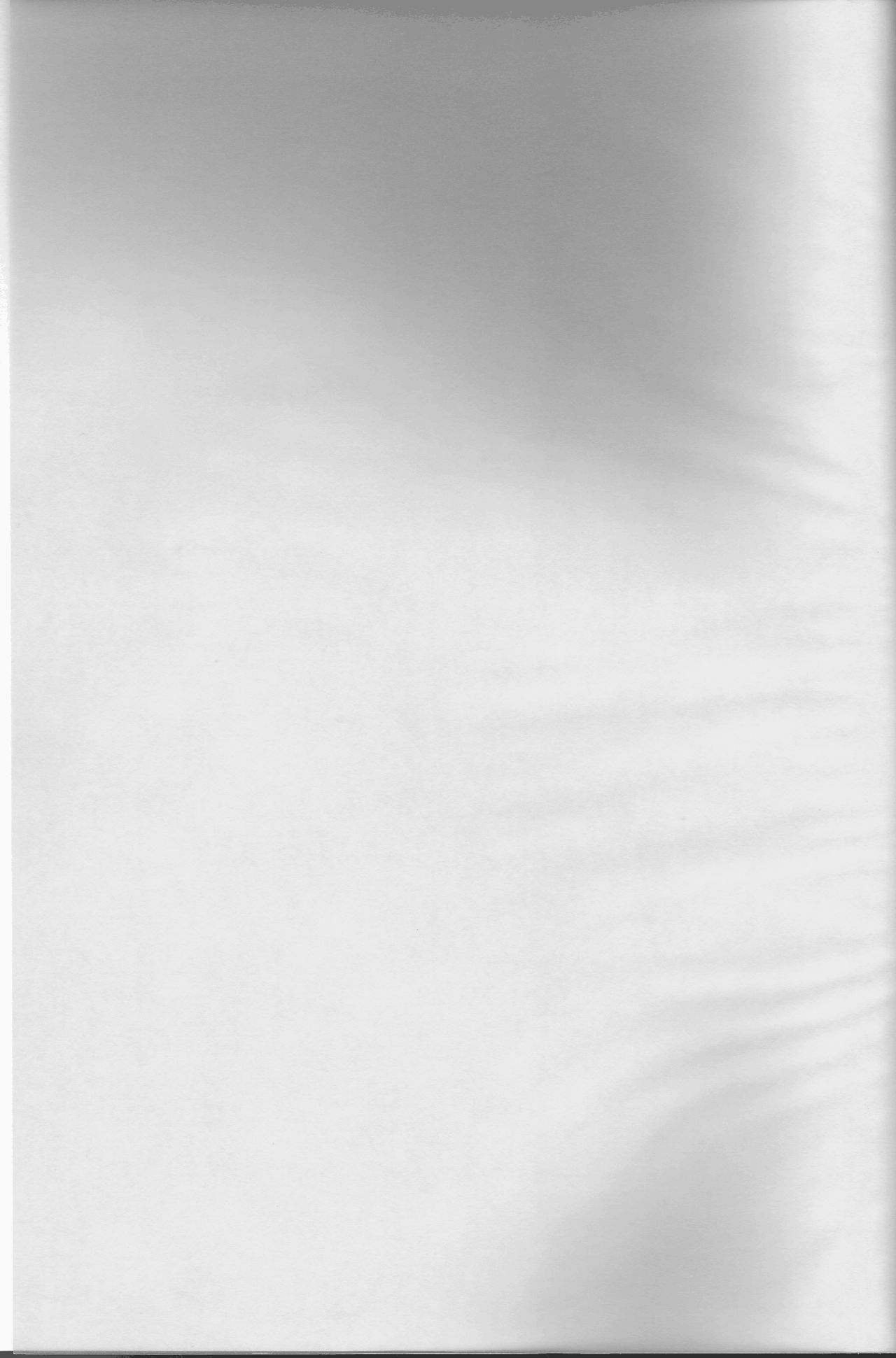 Hime Ken Ryouran | Princess Sword Profusion page 2 full