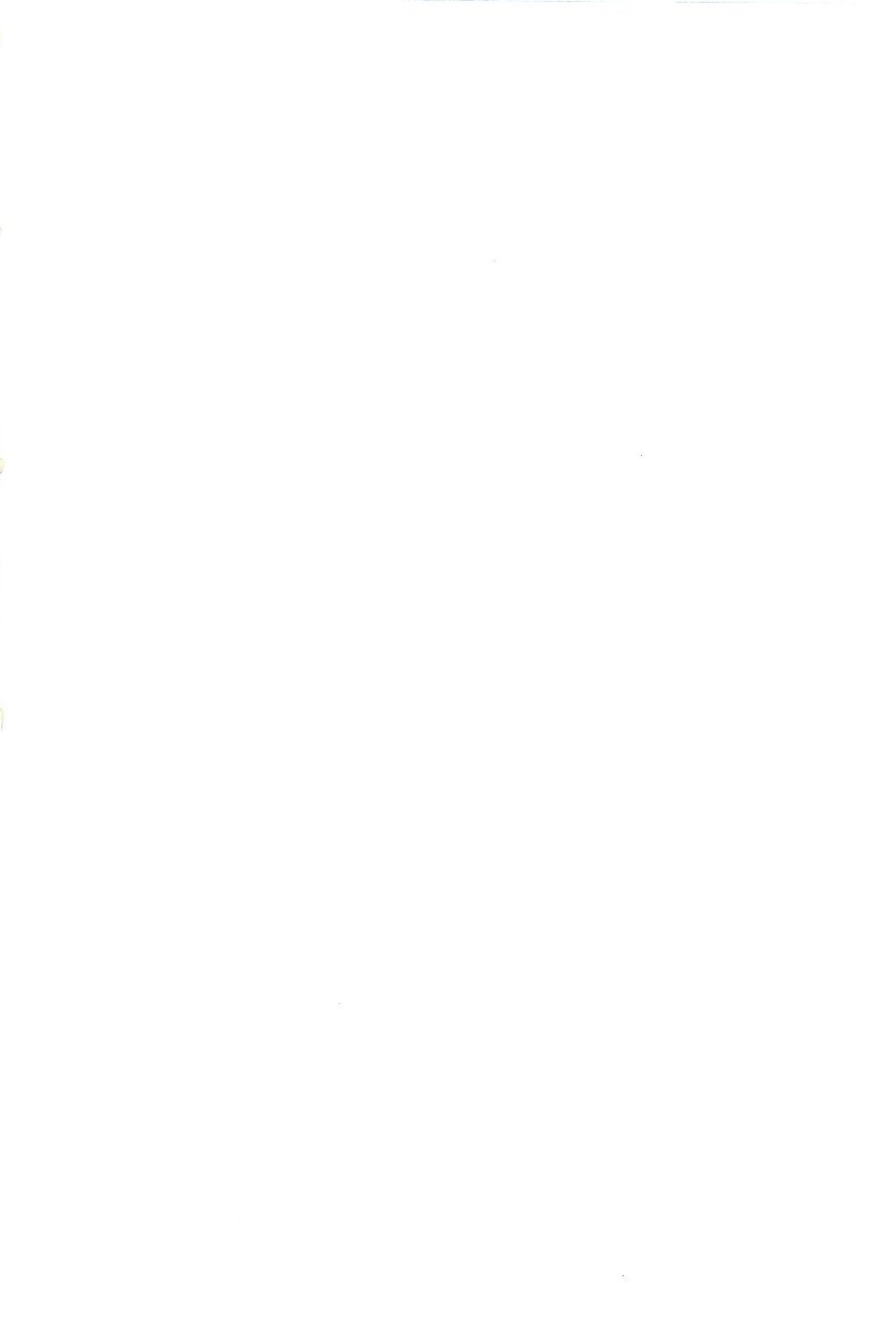 Ochinchin Daishingeki - Remilia no Gyakushuu page 2 full