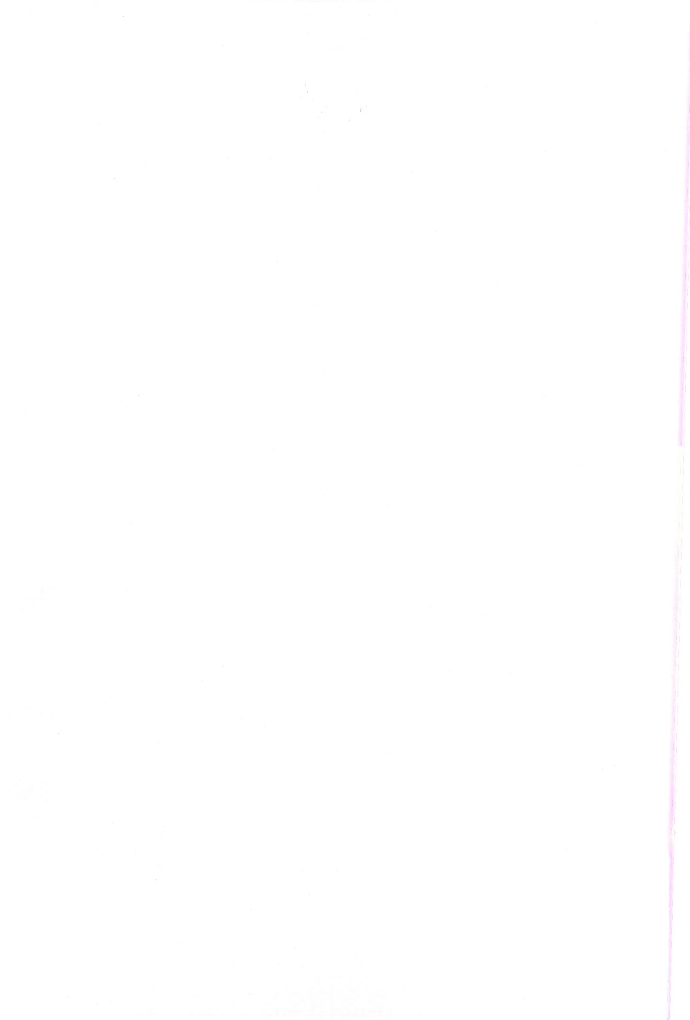 Ochinchin Daishingeki - Remilia no Gyakushuu page 4 full