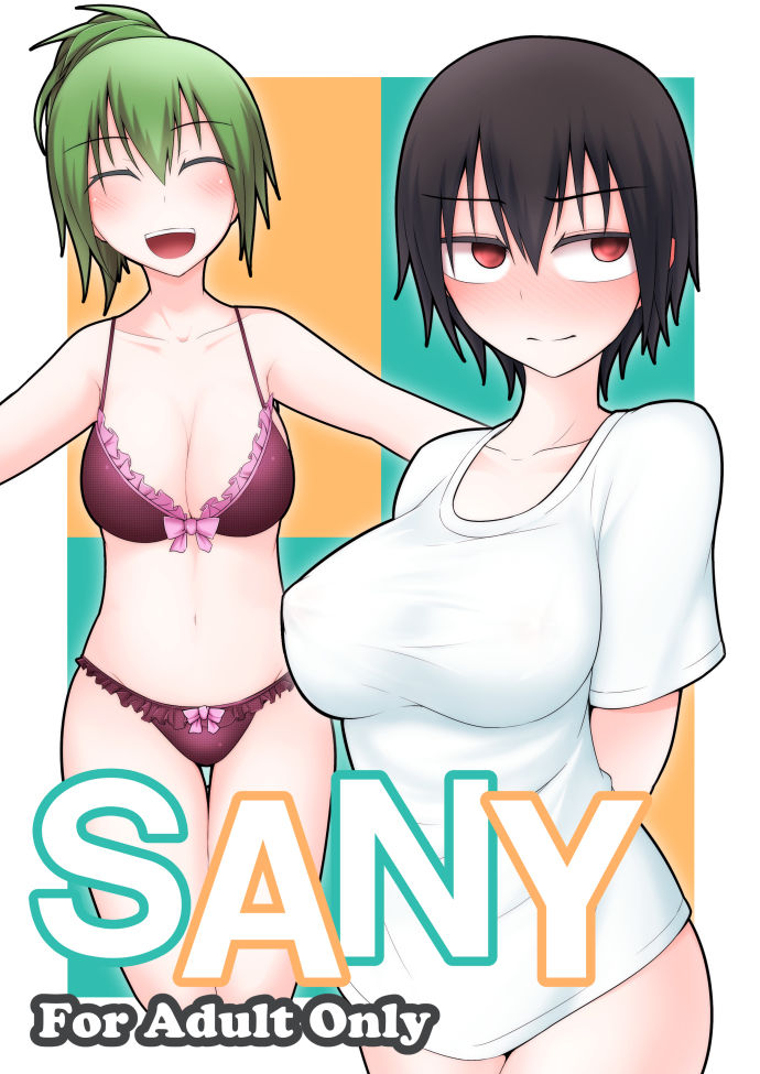 SANY page 1 full