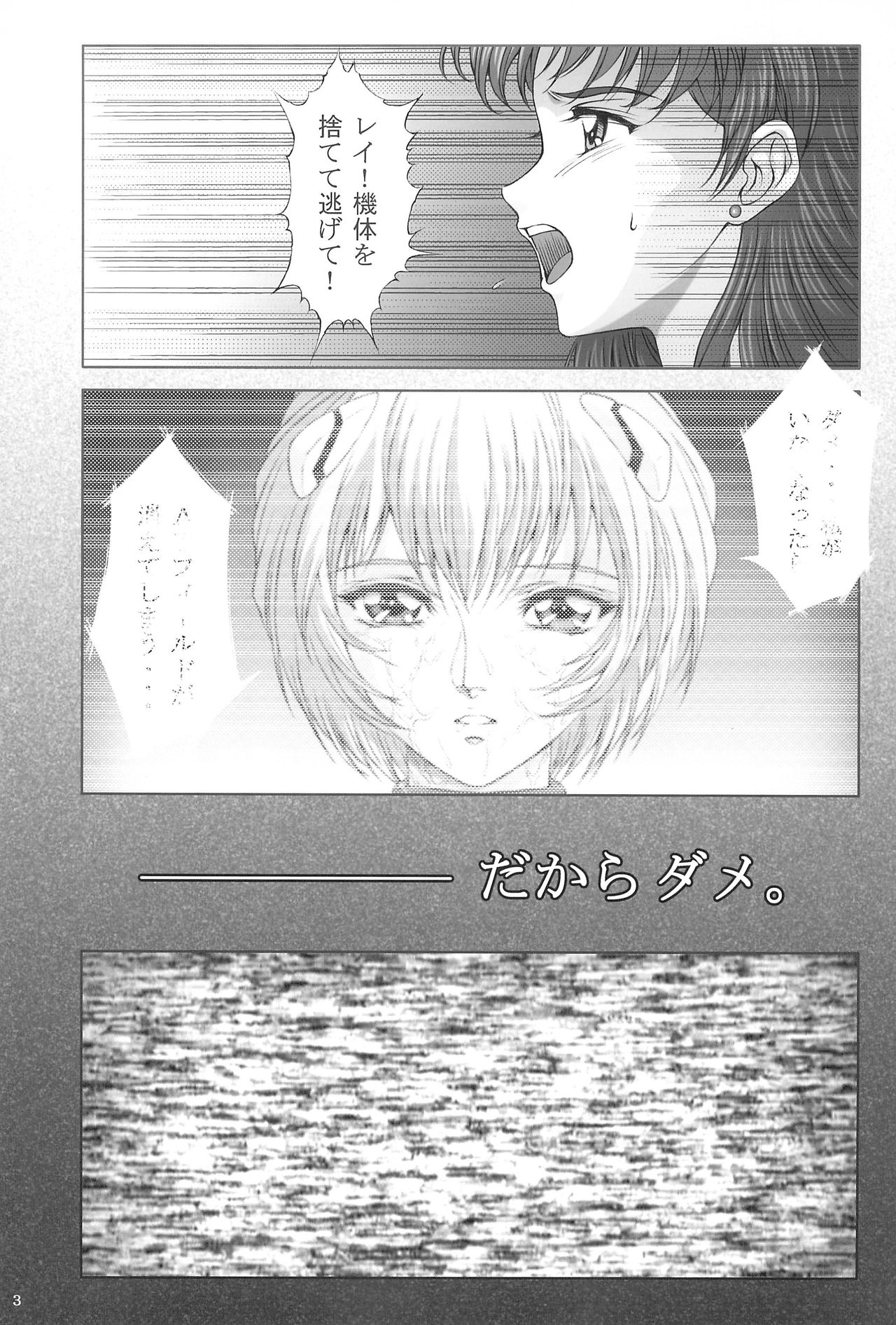 Ayanami Hokan Keikaku  Kaiteiban page 5 full