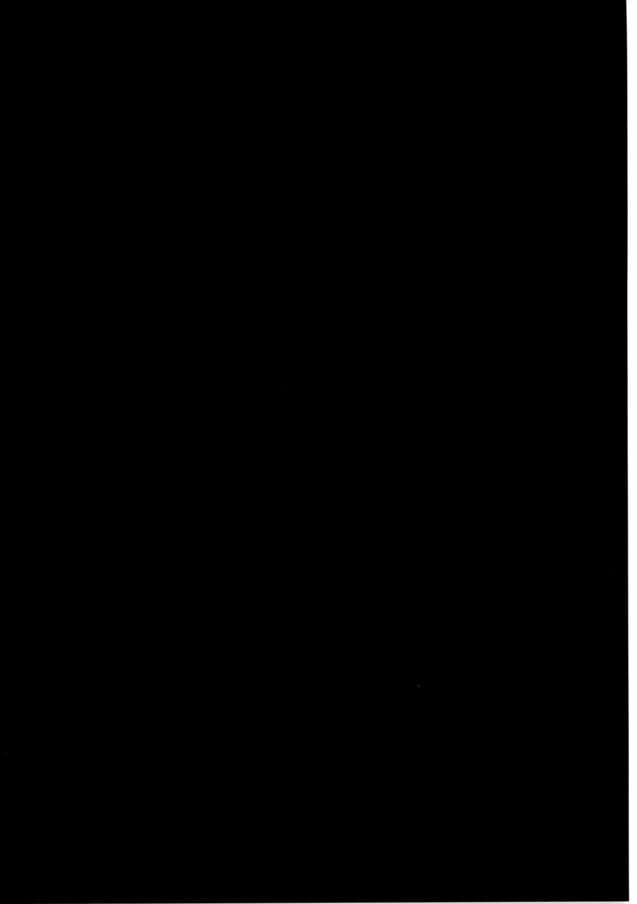 2B to be Saimin Benki page 4 full