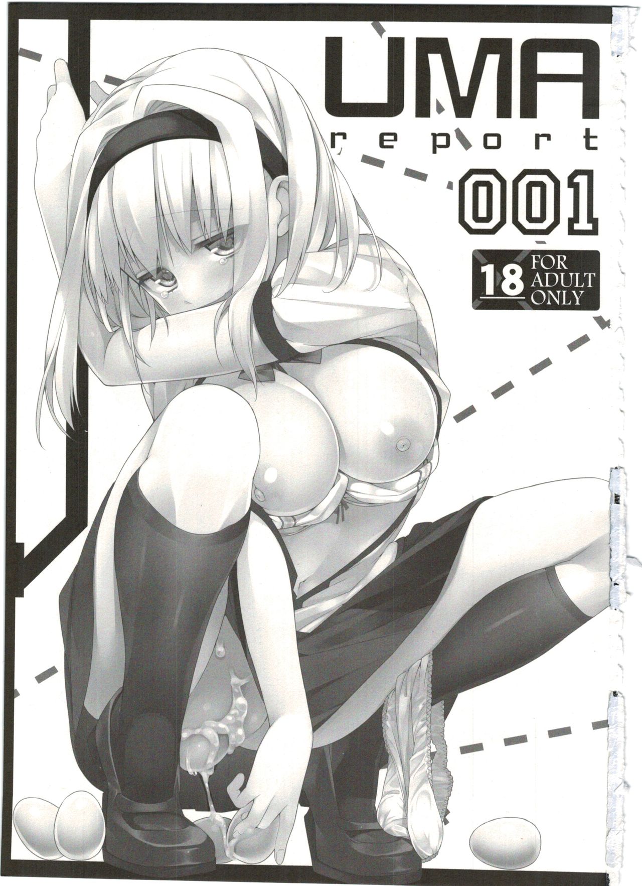 UMAreport omnibus page 3 full