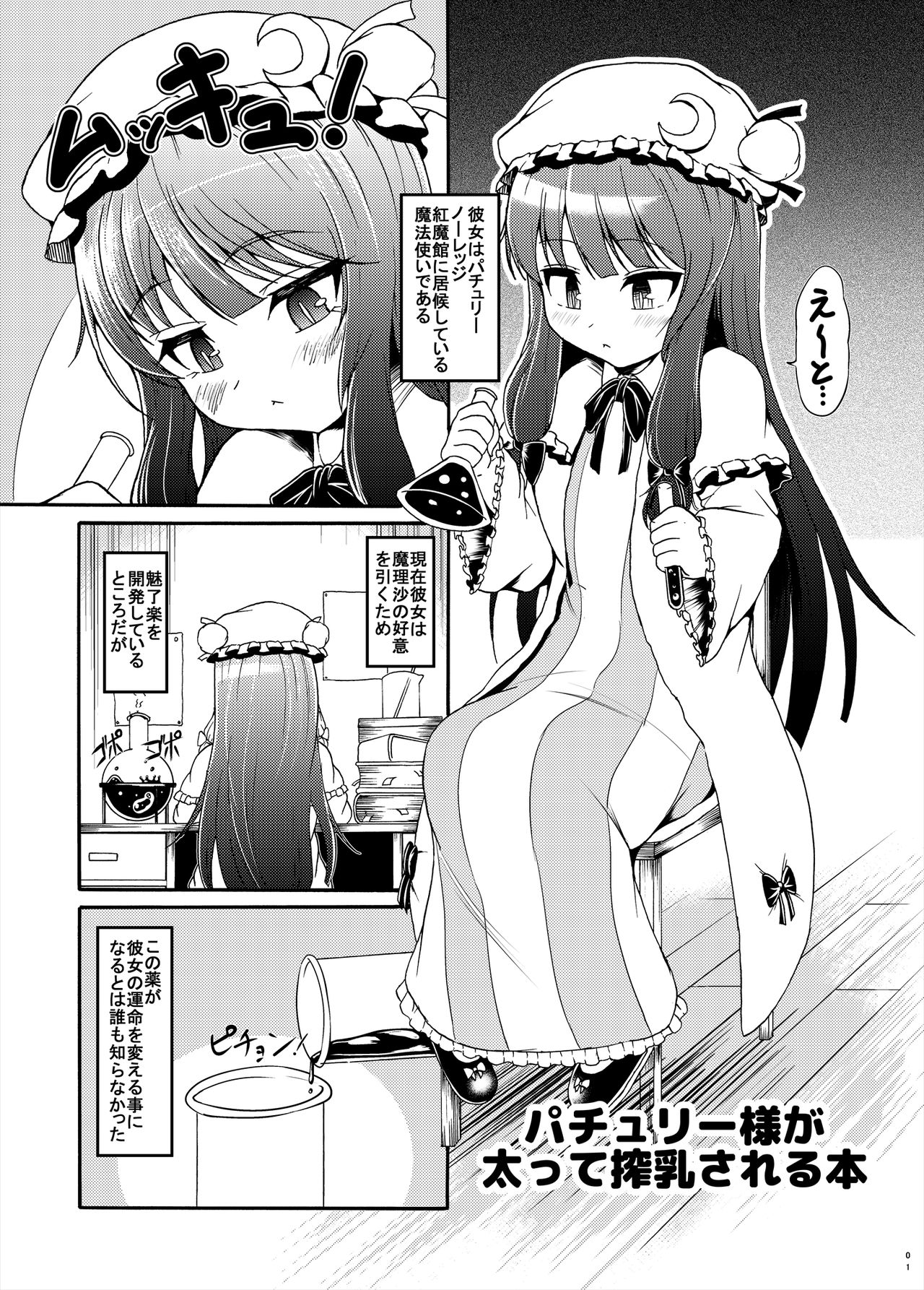 Patchouli-sama ga Futotte Sakunyuu Sareru Hon page 1 full