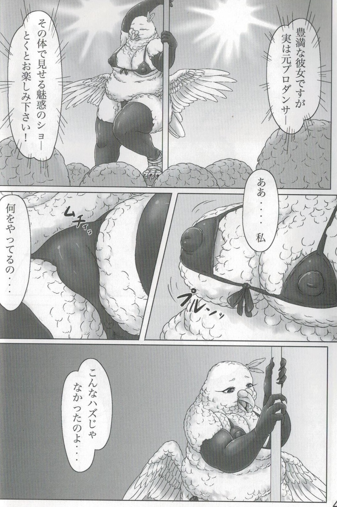 Hato Oku-sama no Late Show page 3 full