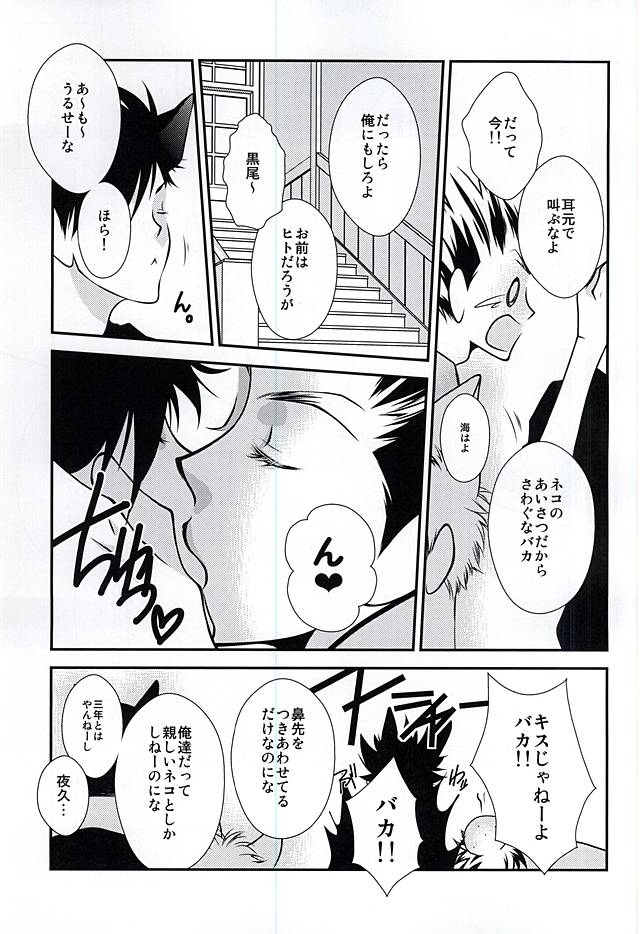 AMA!!!俺の彼氏「ネコ」だけど質問ある? page 5 full