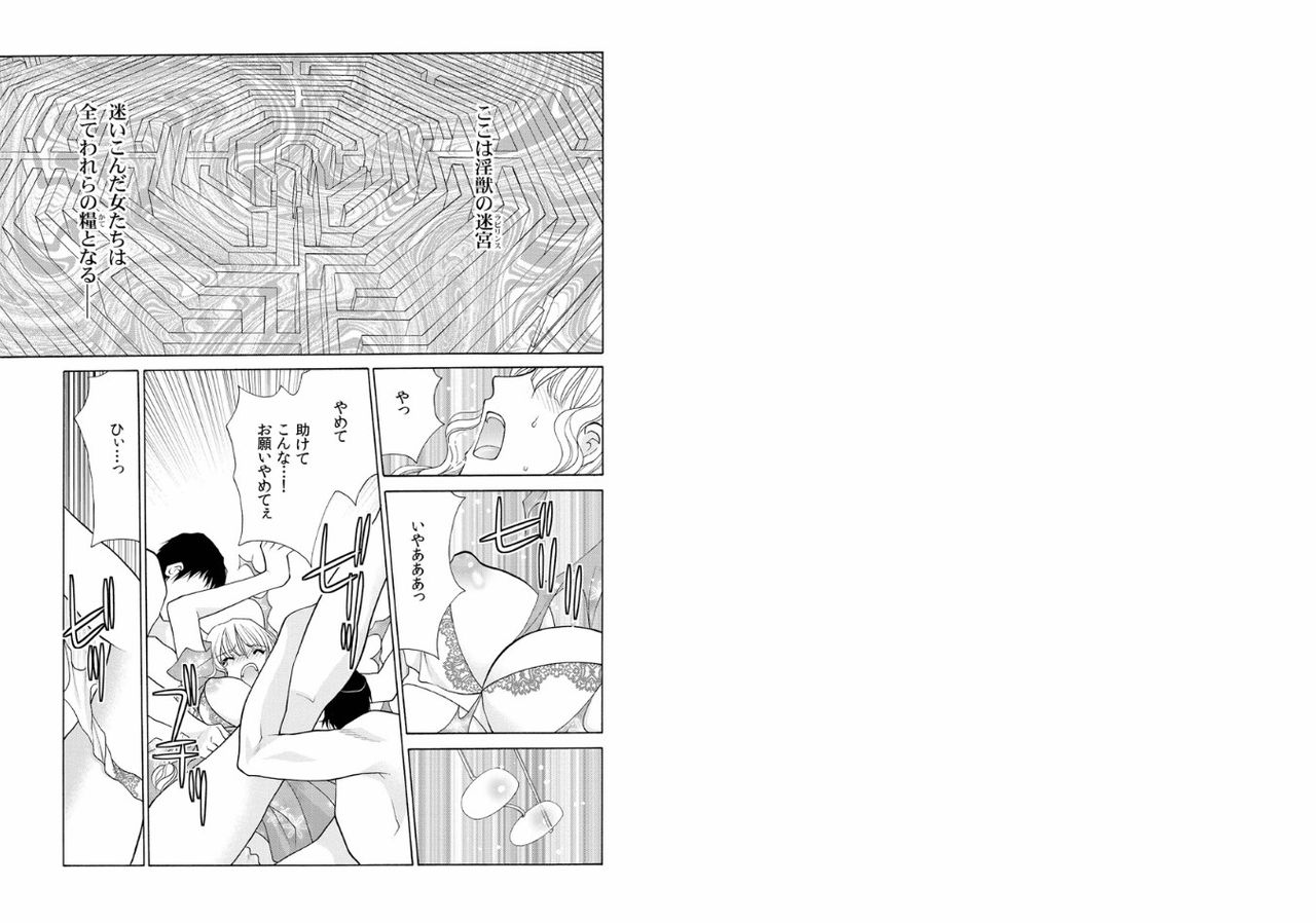 Aijuu Labyrinth ~Shihai Sareru Karada, Kowareteiku Risei~ page 2 full