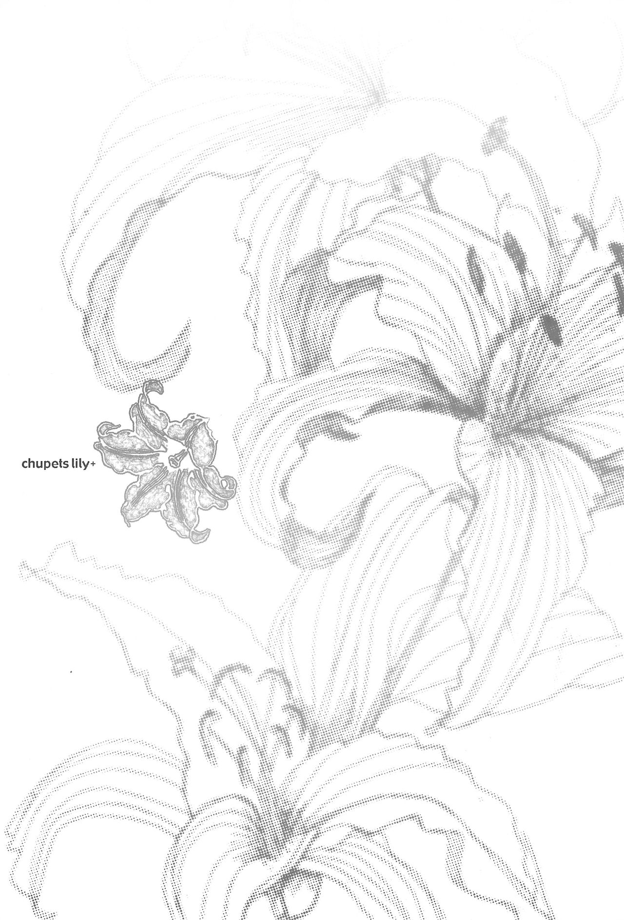 chupets lily+ page 3 full