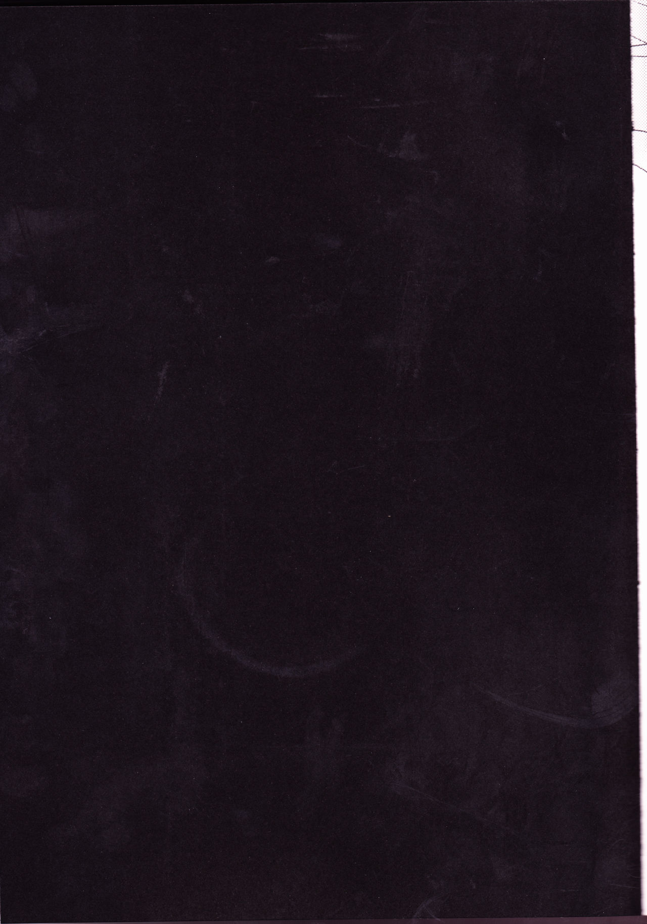 Caesar Salad Ontama Nose page 2 full