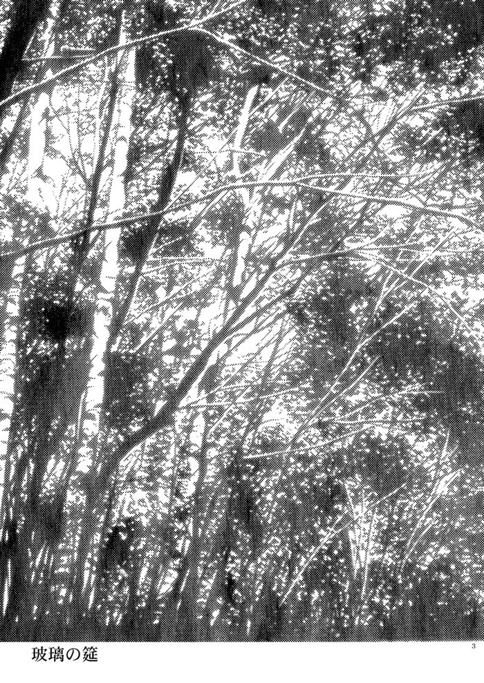 Hari no Mushiro page 4 full