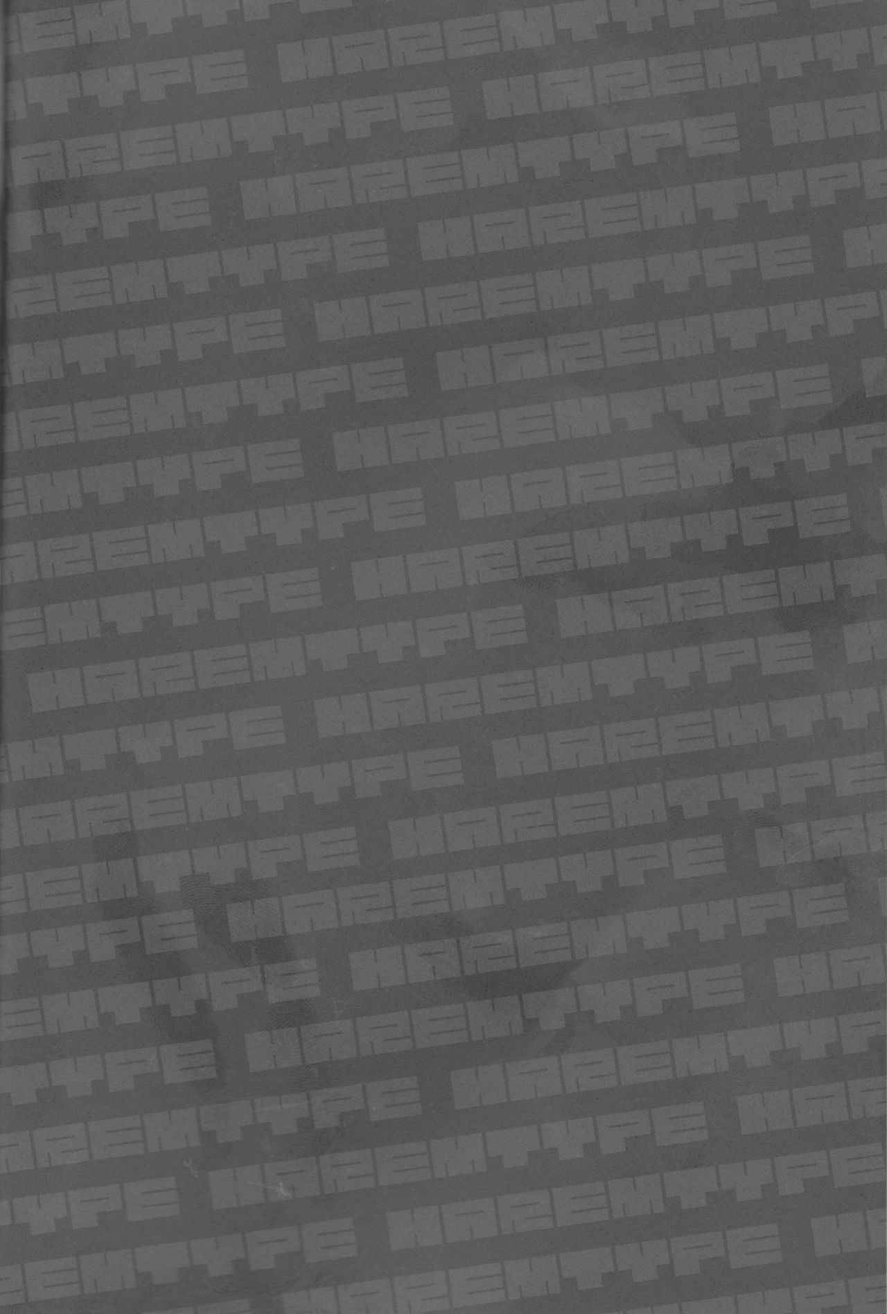 Harem Type ~Chouki o Motazu Shite Nani ga Ou ka~ page 3 full