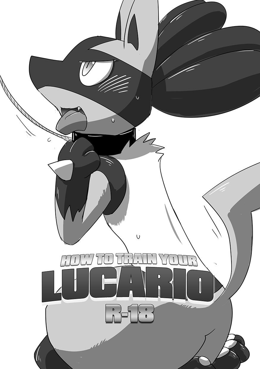 Lucario Training Book「How to Train Your~」 page 1 full
