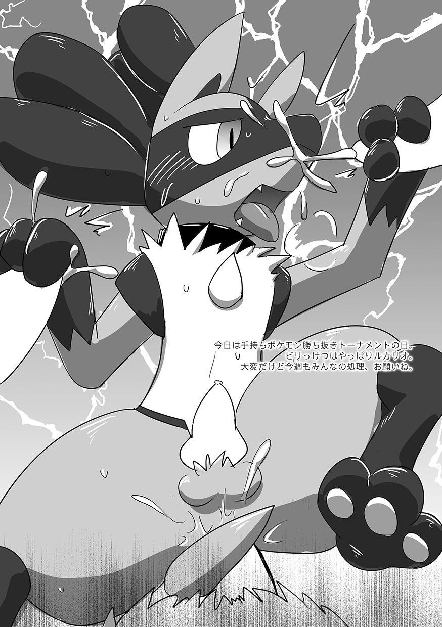 Lucario Training Book「How to Train Your~」 page 10 full