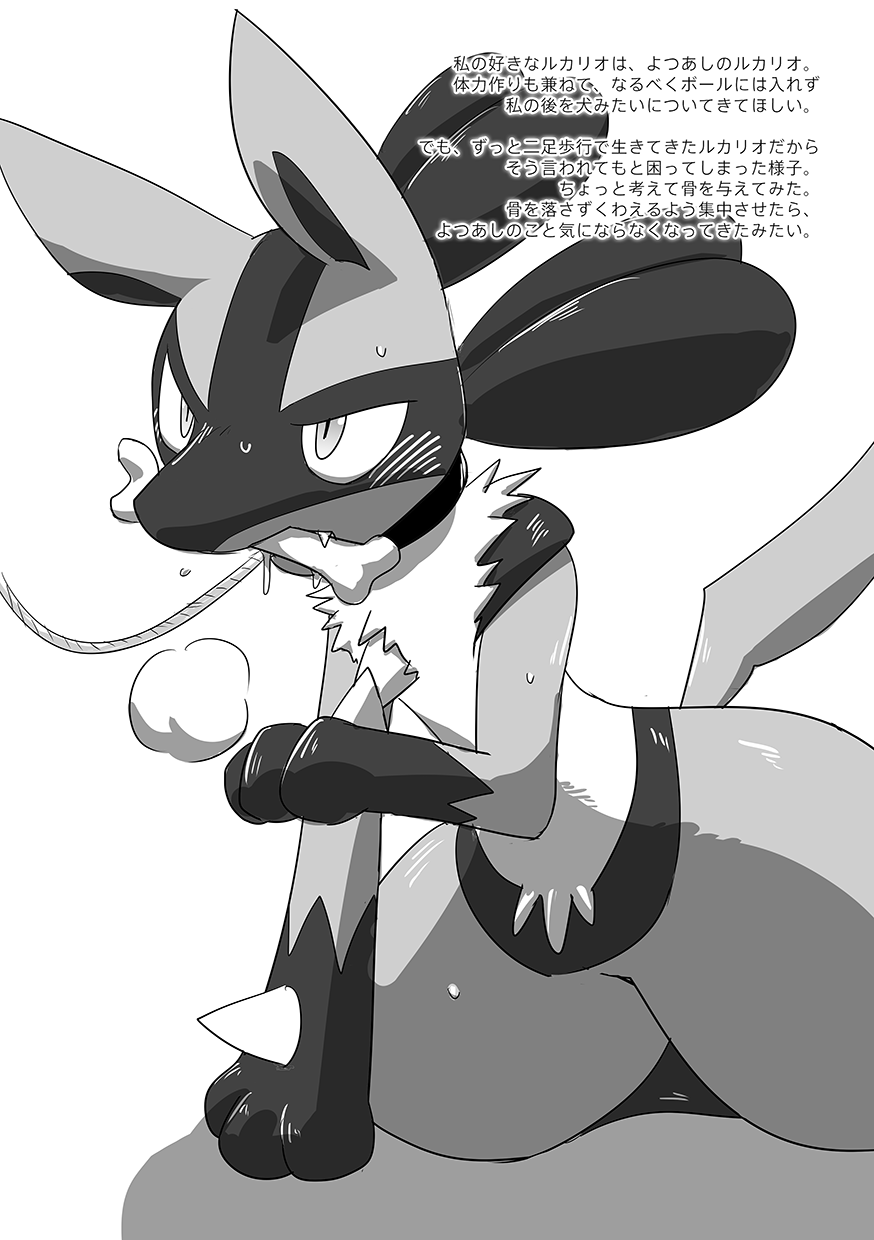 Lucario Training Book「How to Train Your~」 page 2 full