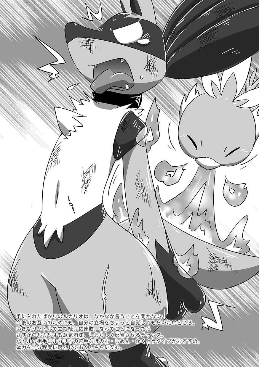 Lucario Training Book「How to Train Your~」 page 3 full