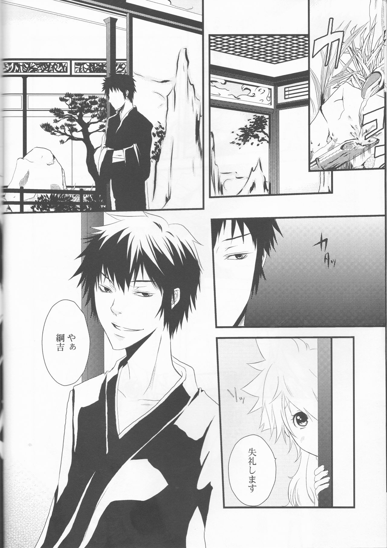 Dimorphotheca page 8 full