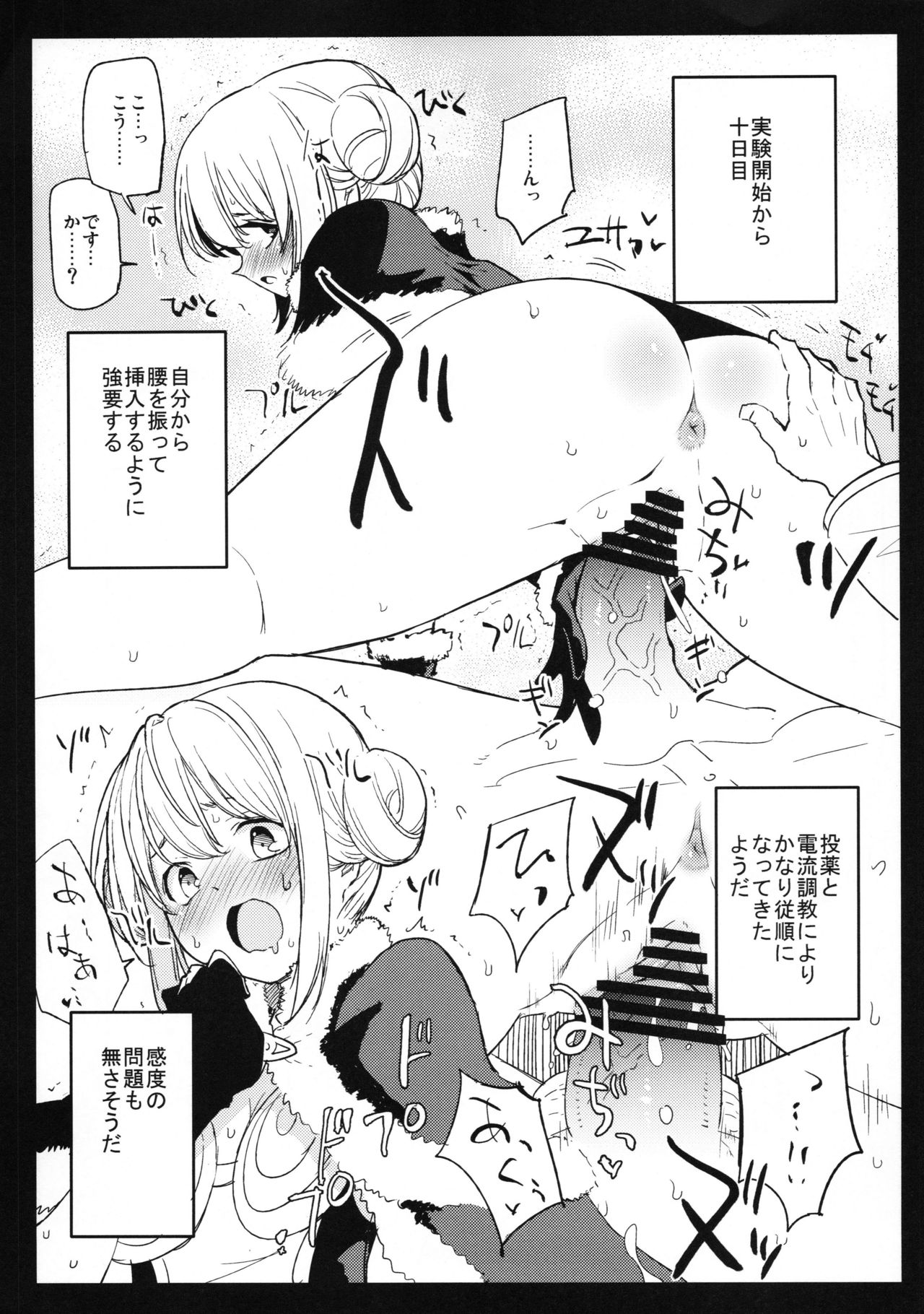 Dr. Boruzebu no kenkyu nisshi katorin no bai page 5 full