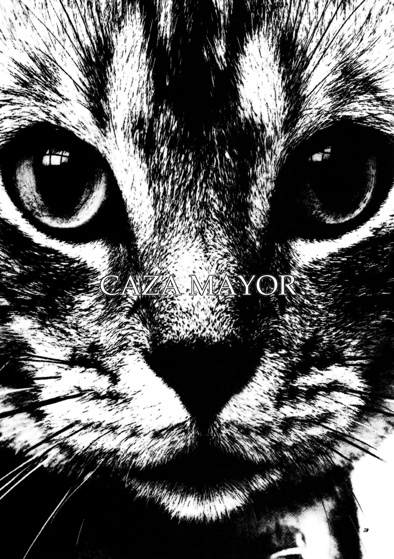 CAZA MAYOR 6 page 3 full