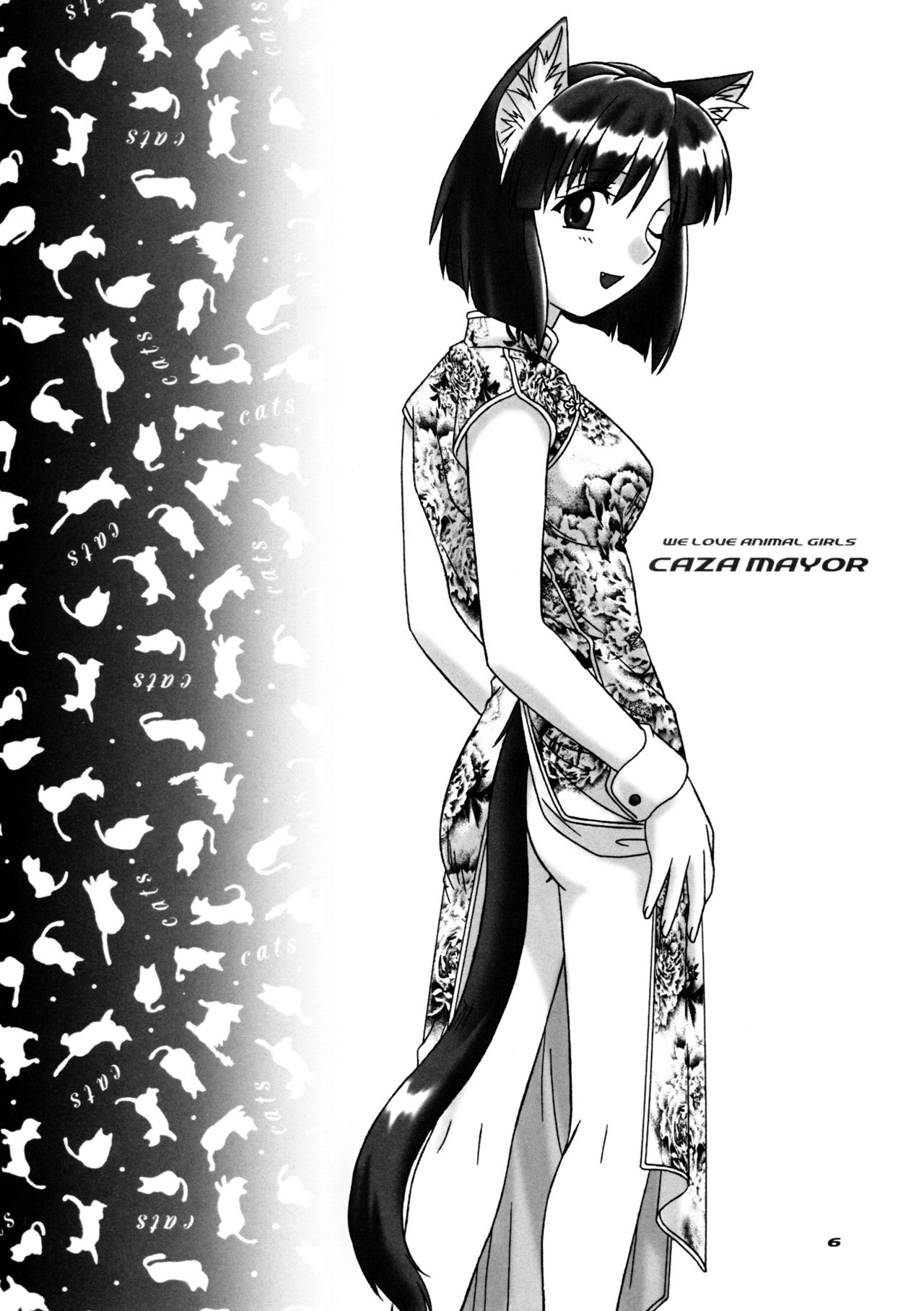 CAZA MAYOR 6 page 6 full