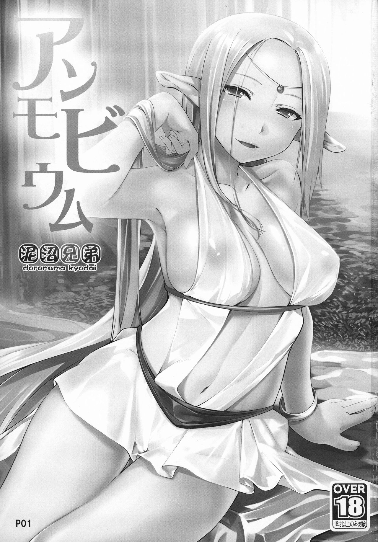 Ammobium page 2 full