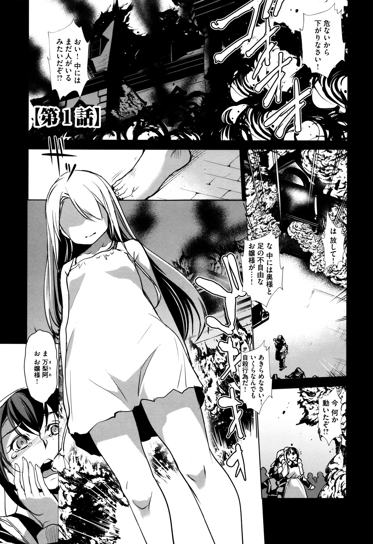 Seida Inyou -Seijo no Katachi Shita Intou- page 8 full