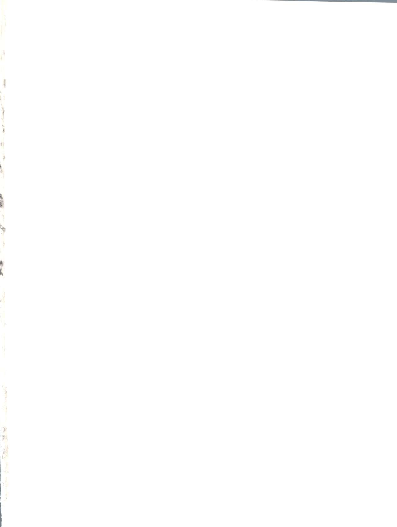 Renarn-Bon - The Renarn Book page 2 full