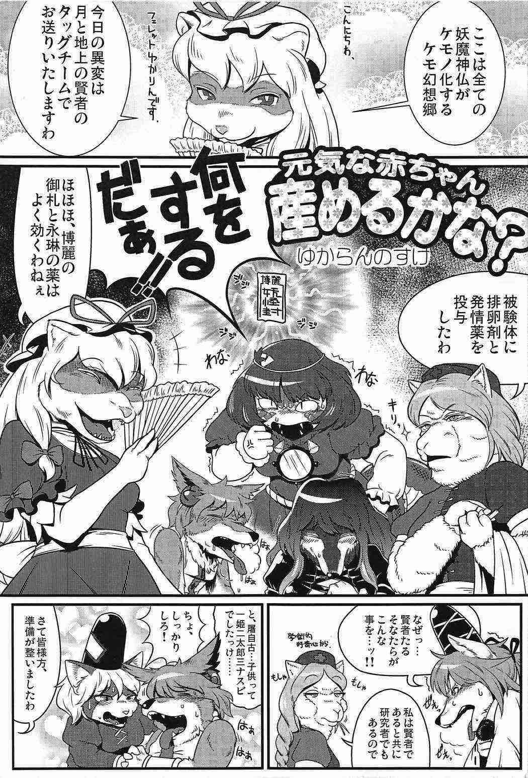 Touhou PLUMFUR 2 page 4 full