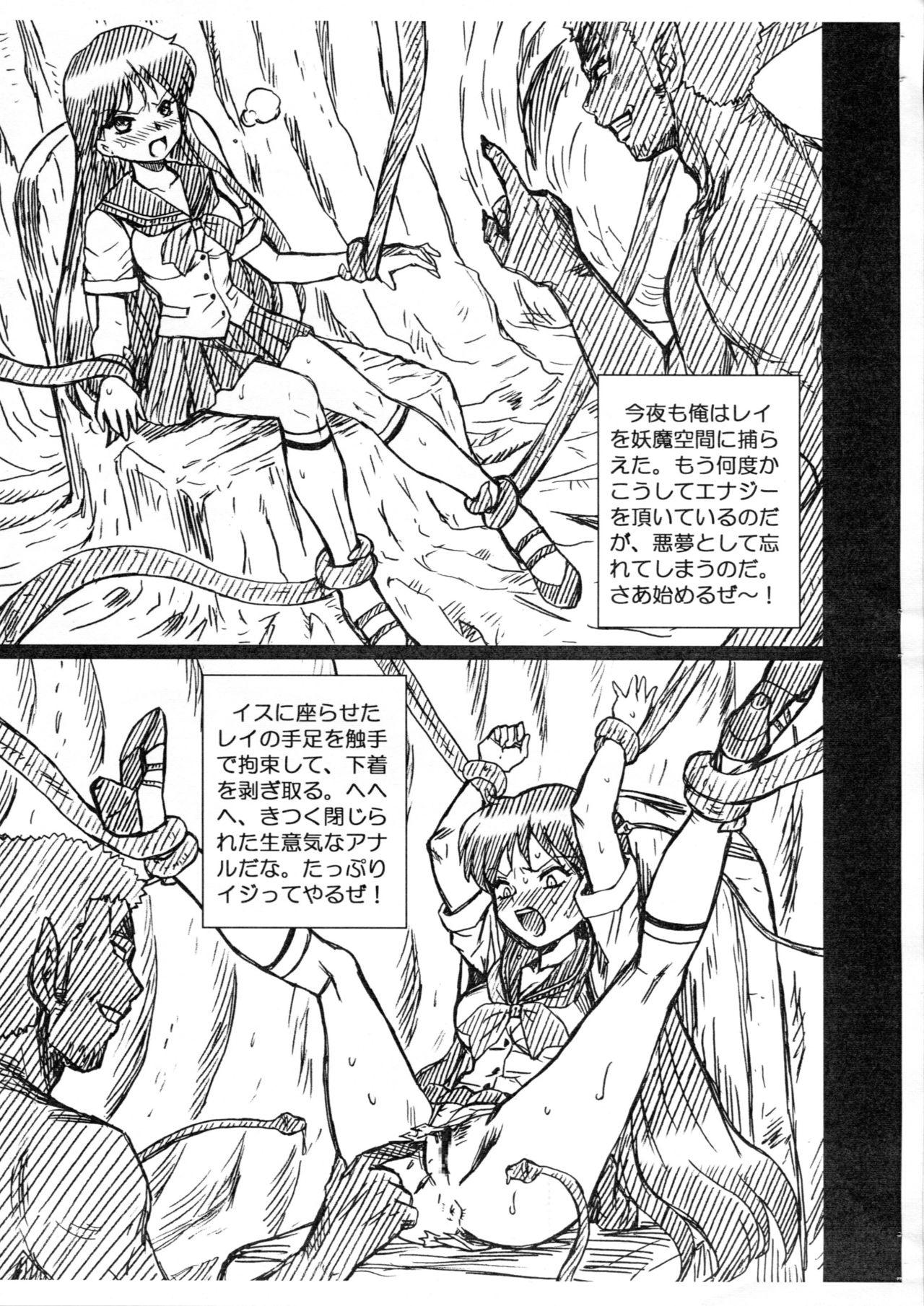 SAILORMOON FILE Hino Rei Gazoushuu page 3 full