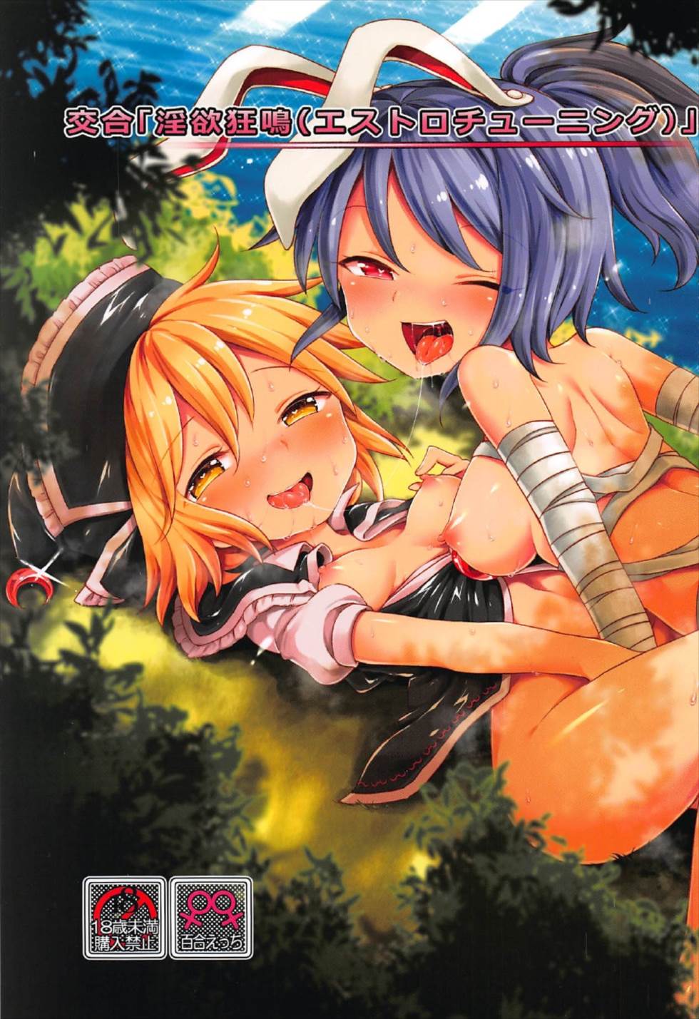 Kougou "Estro Tuning" page 1 full