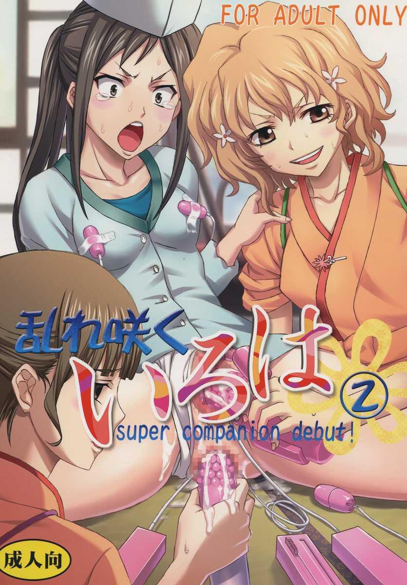Midaresaku Iroha 2 super companion debut! page 1 full