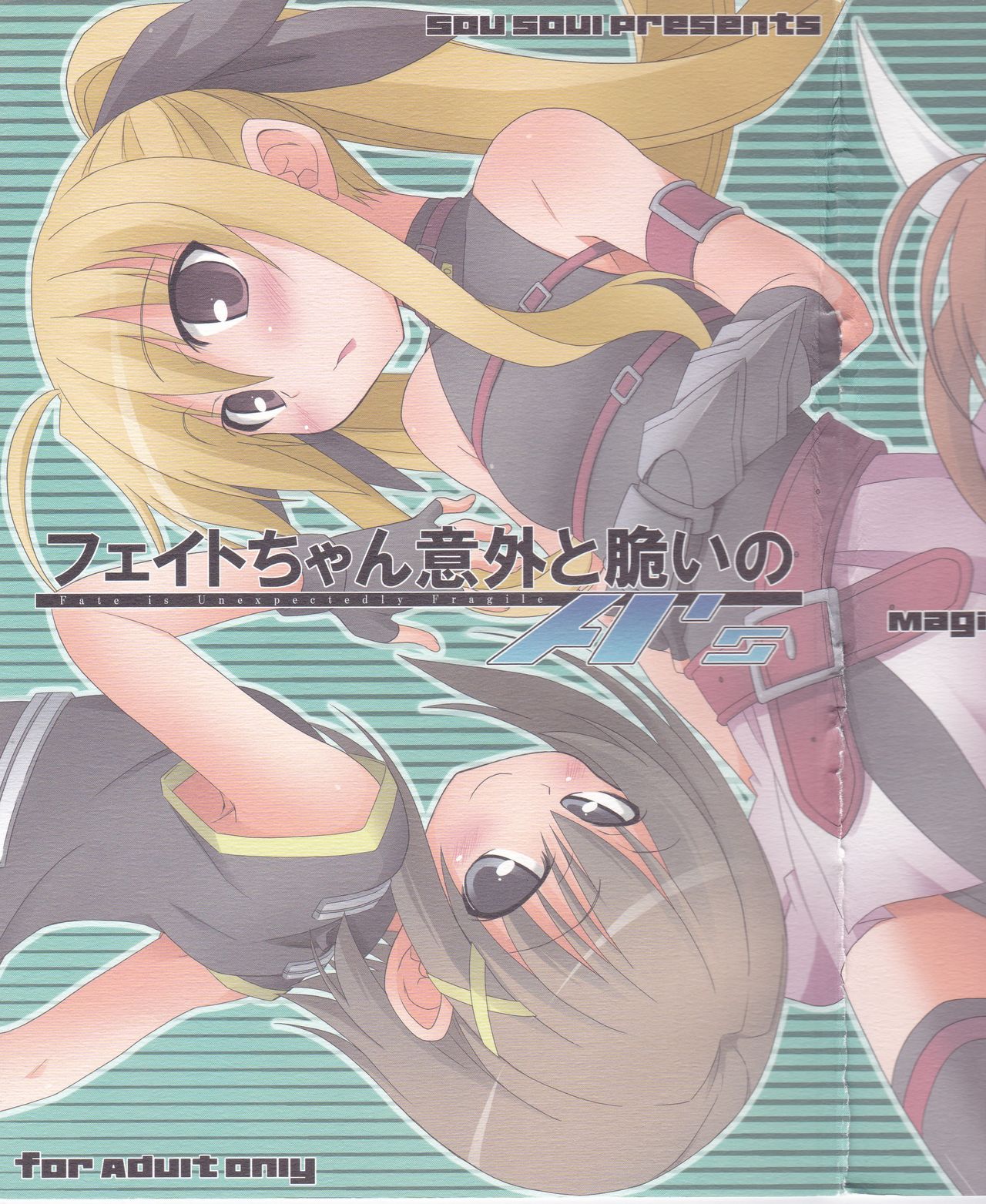 Fate-chan Igai to Moroi no A's page 3 full