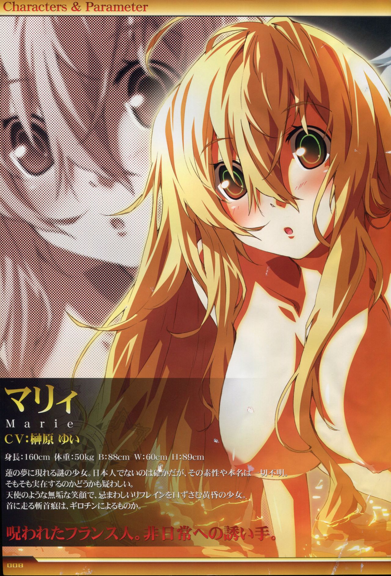 Dies irae Visual Fanbook - White Book page 9 full
