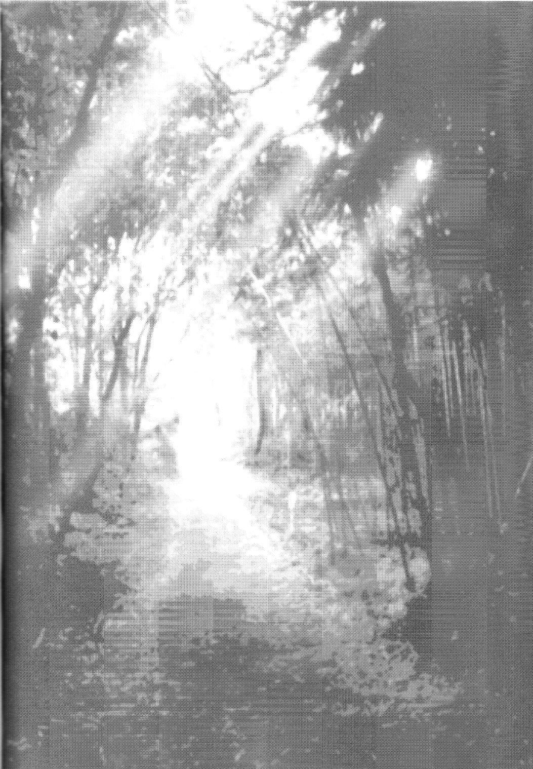 Yoru wa Mijikashi Koiseyo Shounen page 4 full