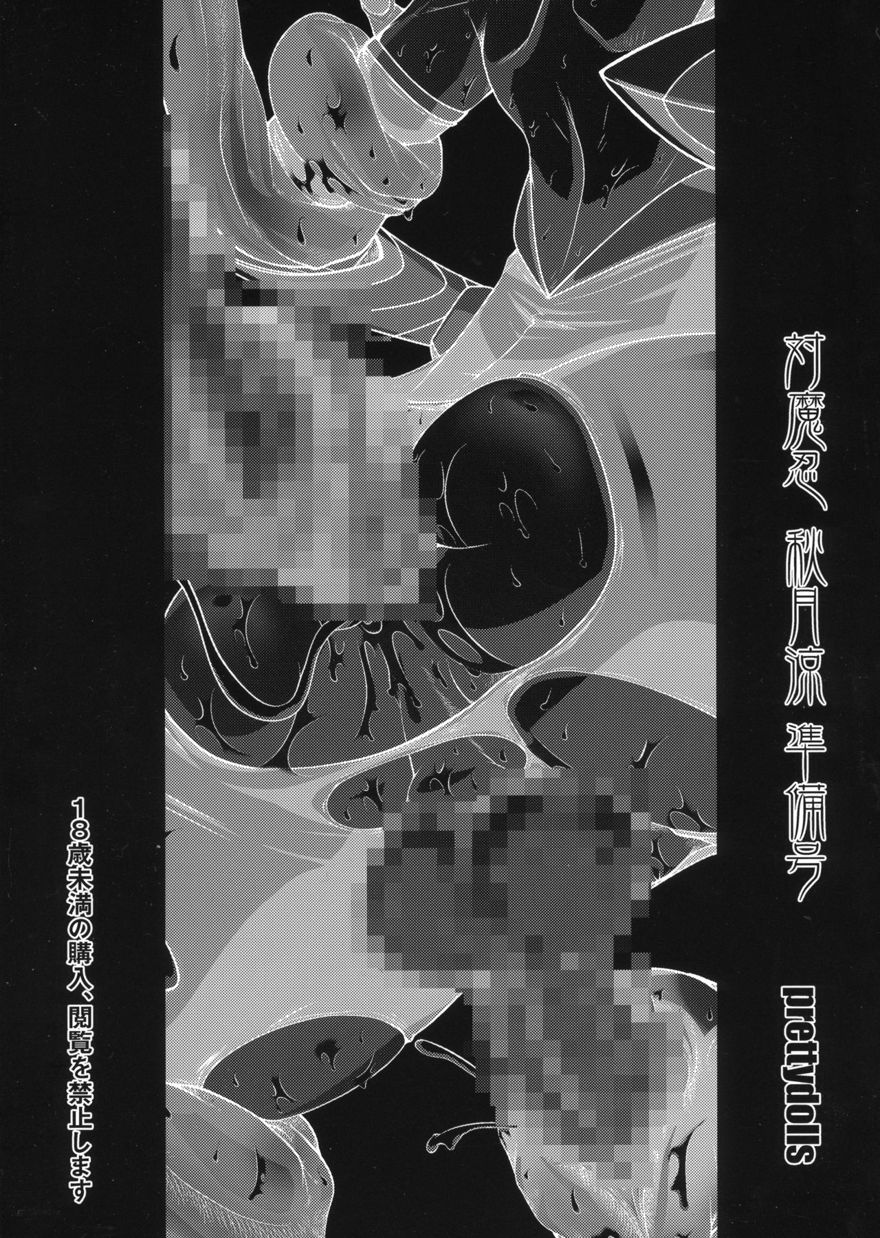 Taimanin Akizuki Ryo Junbigou page 2 full