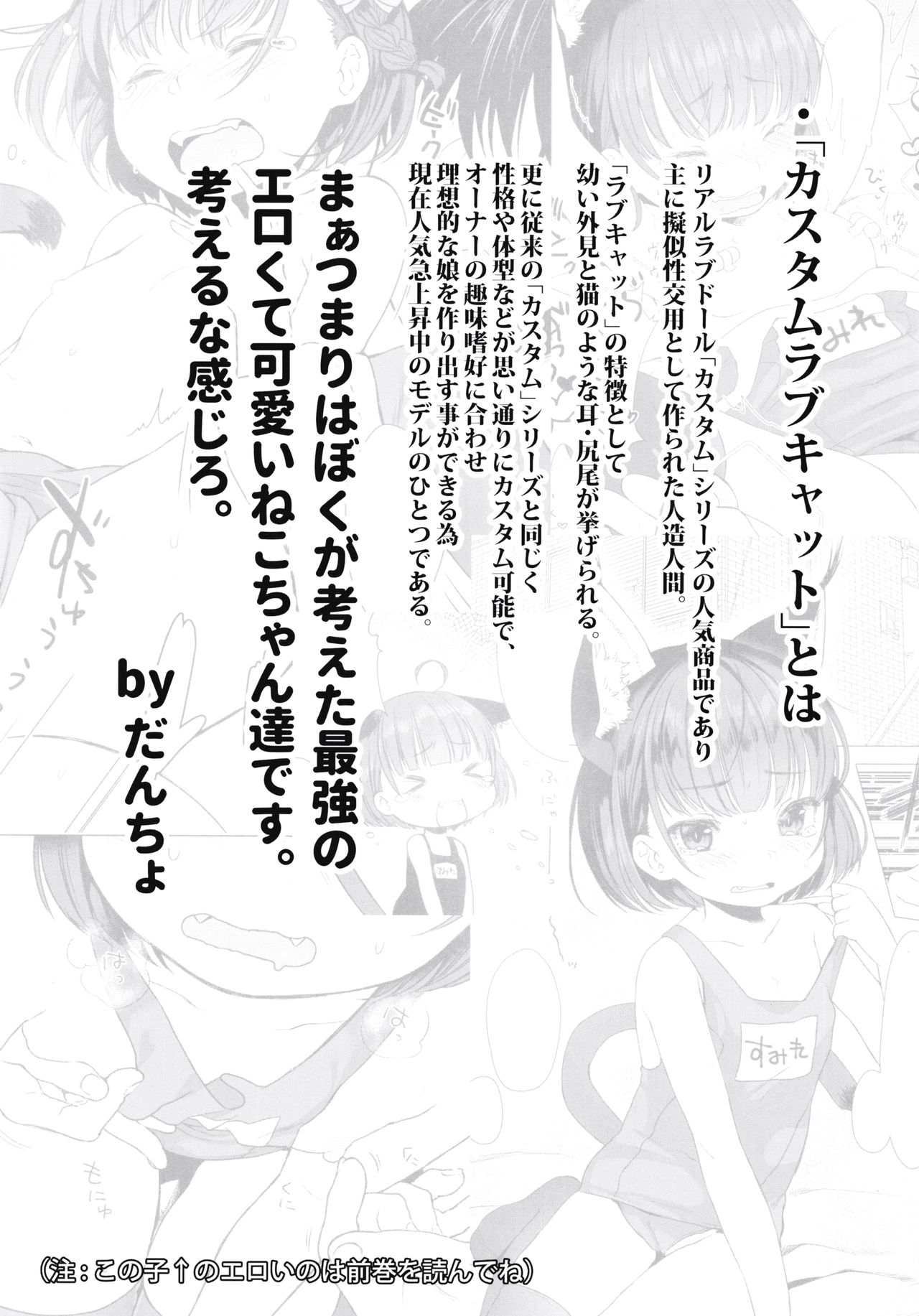 CUSTOMLOVECATs 3rd page 3 full