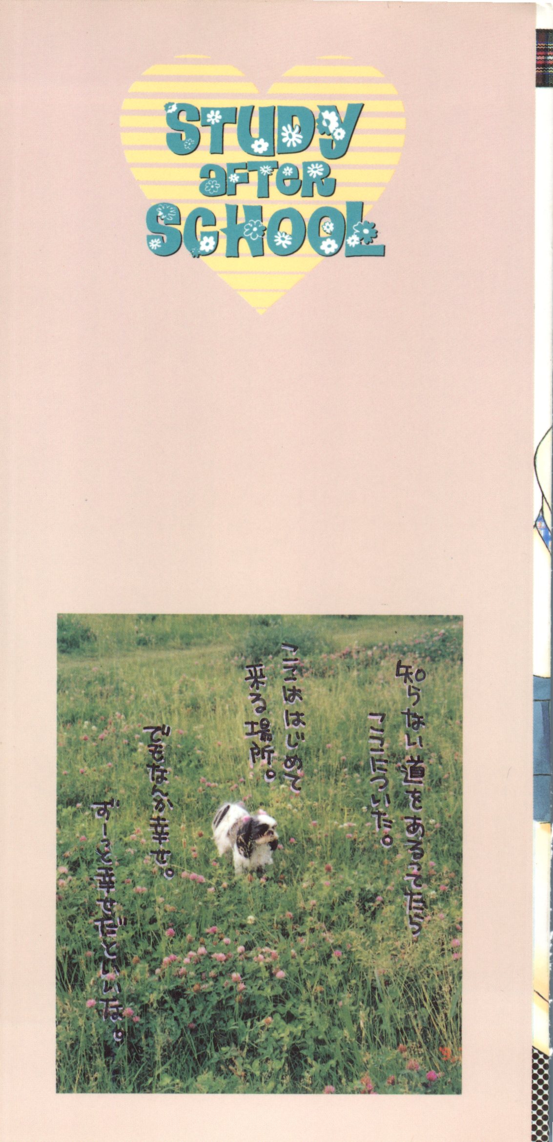 Study After School page 3 full