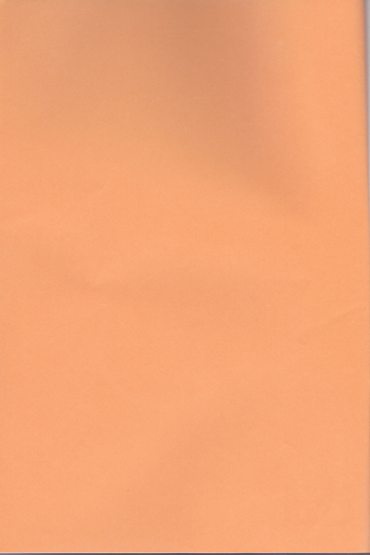 Neko to Hirune Ni page 2 full