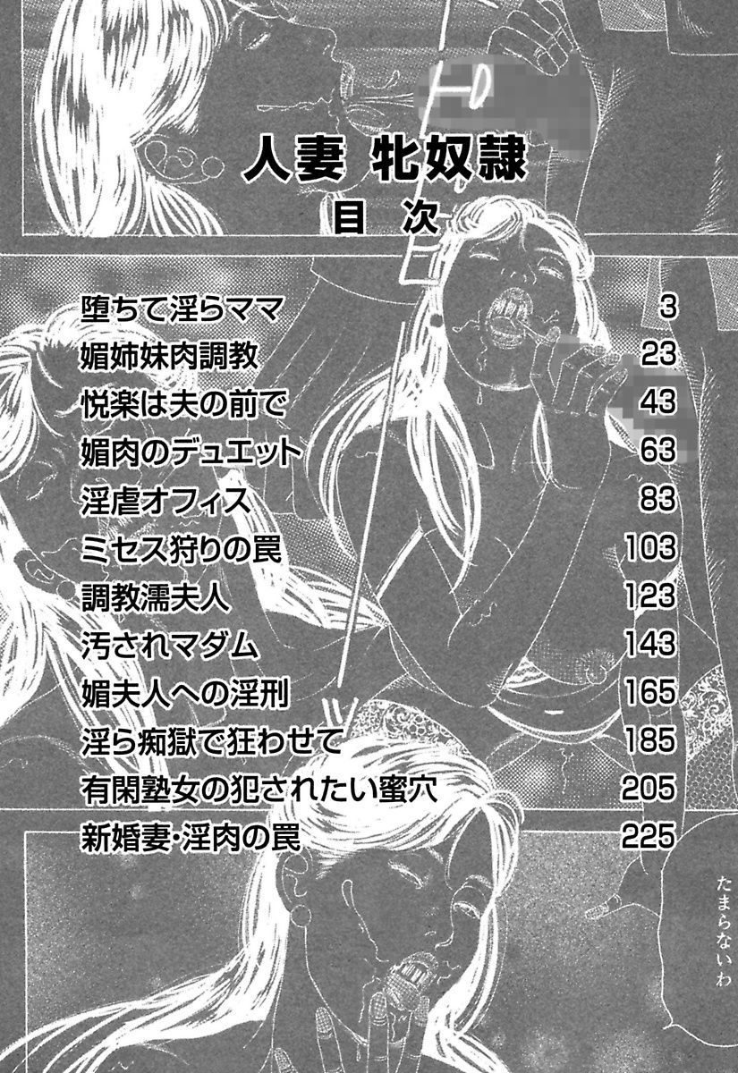 Hitoduma Mesu Dorei page 4 full