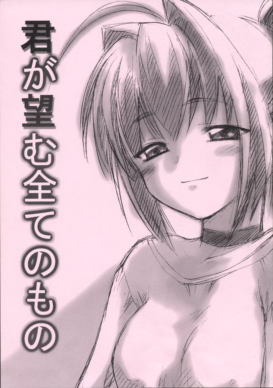 Kimi ga Nozomu Subete no Mono page 1 full