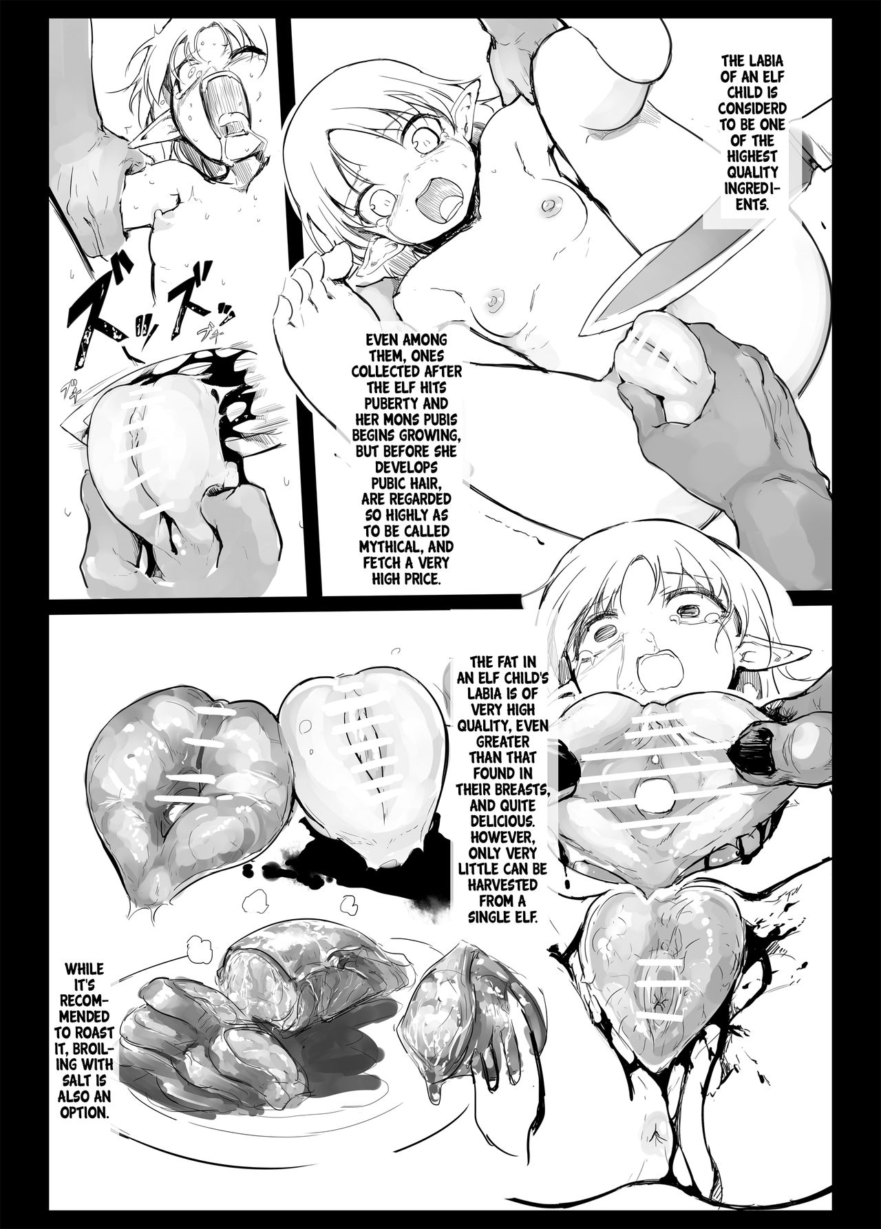 Elf ni Hidoi Koto o suru Hon | A Book About Doing Cruel Things to Elves page 3 full