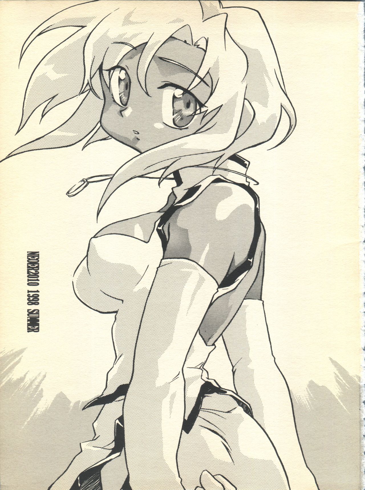 NEOER 2010 page 2 full