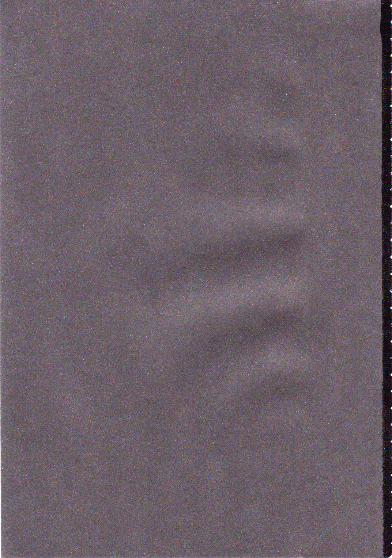 Goriyou wa Keikakuteki ni! page 2 full