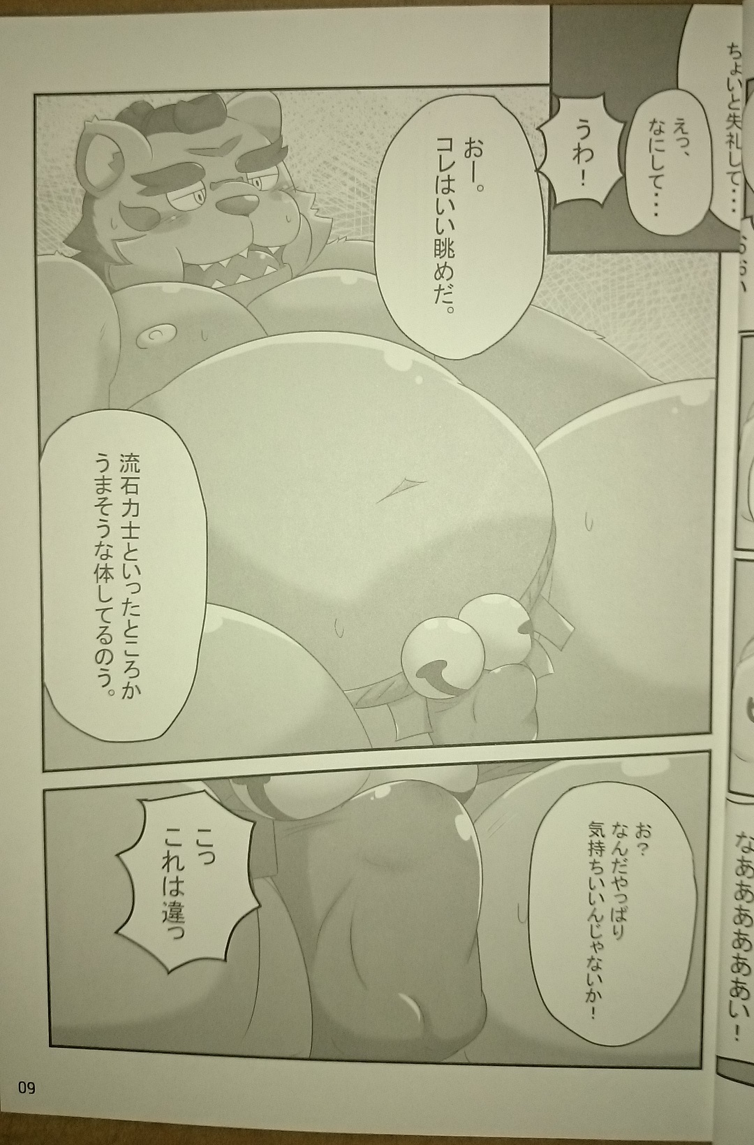 Juushou Heavy Weight Fighters page 8 full